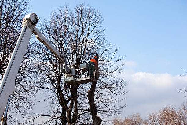 Landscape Design and Installation in Buchanan, NY